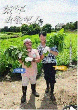 亚洲在线电影《岛屿厨房》慢综艺海报